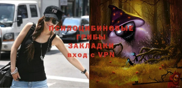 кокаин Белокуриха