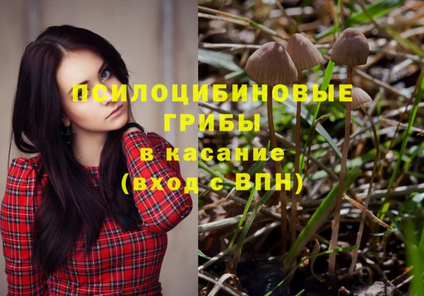 кокаин Белокуриха