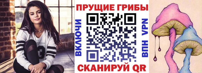 OMG ссылки  Вуктыл  Галлюциногенные грибы Cubensis 